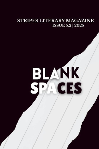 Literaturmagazin blank spaces - literaturmagazin,